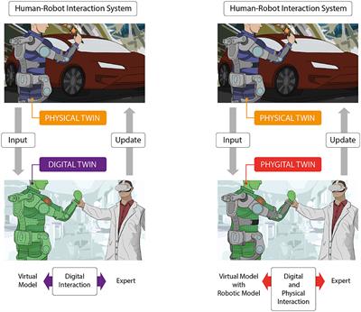 Beyond Digital Twins: Phygital Twins for Neuroergonomics in Human-Robot Interaction